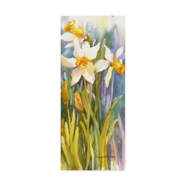 Trademark Fine Art Annelein Beukenkamp 'Narcissus' Canvas Art, 20x47 ALI38212-C2047GG